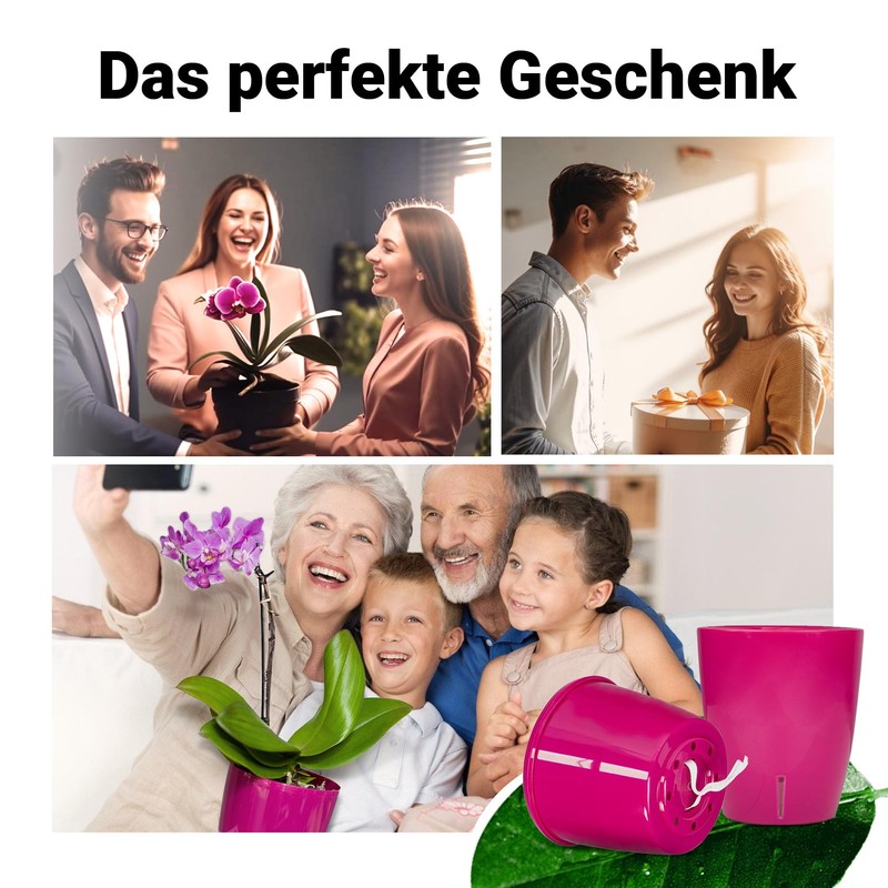 Happy Plants Orchidea Twin 2 Litre - Purple