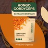 Extracto de Hongo Cordyceps Orgánico en Polvo 100g / 100
