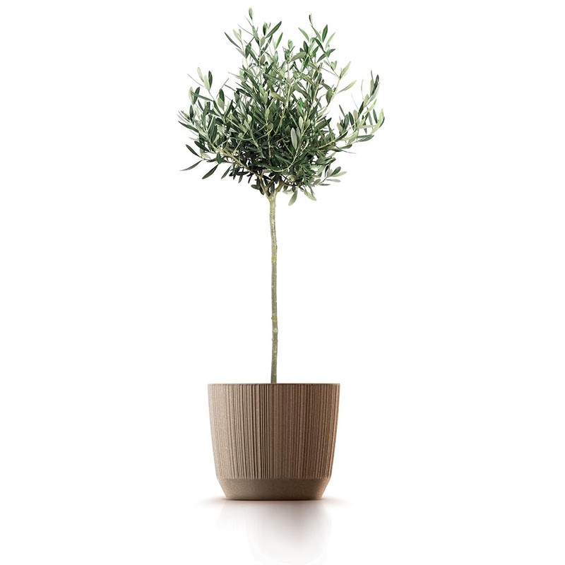 Tymar Flower Pot, Planter, Pack of 2, Plastic Flower Pot,