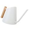Watering Can with Long Spout 800ml Stainless Steel Matte Indoor