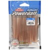 Berkley (バークレー) SW Hollow Sandworm 3.8 Inches Natural PBSSHS3.8-NAT Sea