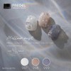 PRE GEL Color EX Mist Brown 0.1 oz (3 g)