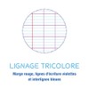 Clairefontaine 18631C - Calligraphe notebook ideal for school, stapled, DIN