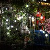 30ft Cool White LED Outdoor String Lights, Waterproof Festoon Light,