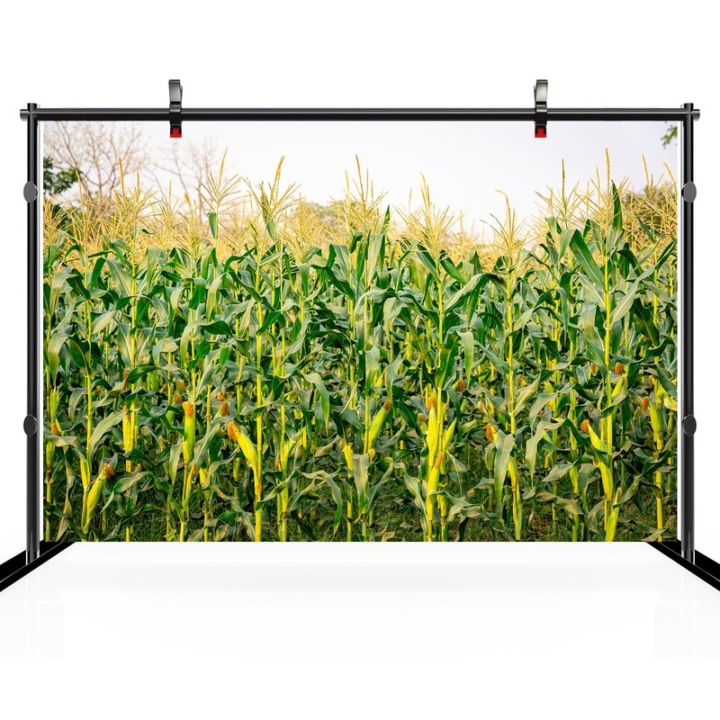 CHNYWORK 15x8ft Cornfield Backdrop Autumn Green Corn Field Corn Stalks