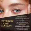 Brow Eyelash Lamination Kit 3D Effect Brow Lift Eyebrow Lifting