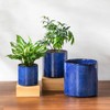 vancasso 6"+8"+10" Ceramic Pot for Plants, Large Outdoor Indoor Planter