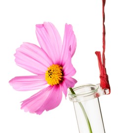 Tuuters 5 x Test Tube Holder for Flowers with Test Tube, Flower Vase for Hanging, Transparent