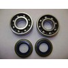 NMD Brand CRANKSHAFT Crank Bearing KIT FITS Husqvarna 61 66