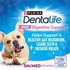 Dentalife Purina Plus Digestive Support Chicken and Pumpkin Flavor Small/Medium