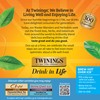 Twinings Brew Over Ice Unsweetened Peach Black Iced Tea 72