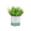 KitchenCraft Planter, Green Ombre, One Size