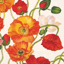 IHR Ideal Home Range Cocktail Napkins Disposable 3-Ply Paper Party Napkin Pack, 5" x 5", Poppies White, 20-Count