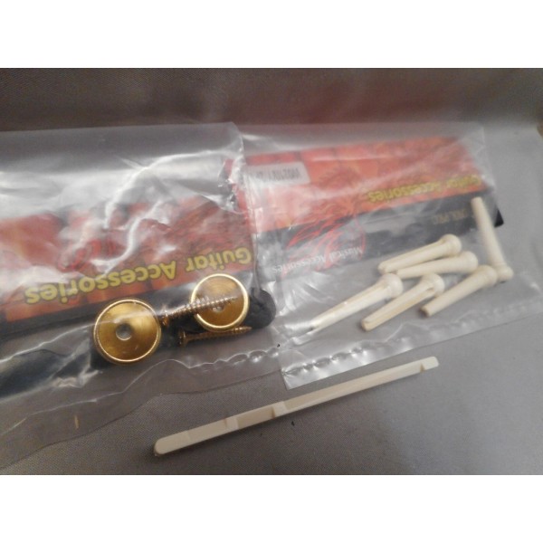 NYP Acoustic Guitar Gold Parts Kit Includes Bridge Pins,Strap Buttons
