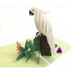 Handmade 3D Pop Up Greeting Card Handmade Parrot, Birthday, Christmas,