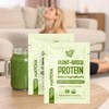 NUTRAPULSE Organic Vegan Protein Powder Sample Pack (Matcha, Pack of