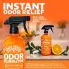 ANGRY ORANGE Pet Odor Eliminator for Dog and Cat Urine,