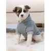 QWINEE 2pc Basic Dog Hoodie, Dog Warm Jacket, Cat Apparel,