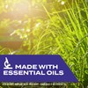 STEM Kills Ants, Roaches And Spiders: Plant-Based Active Ingredient Bug