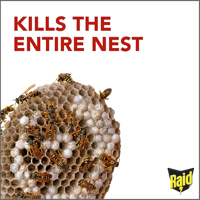 Raid Wasp Hornet Killer Spray (14 Ounce (Pack of 10))