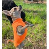 JACKO & CO - Fleece Vest Sweater with Leash Ring