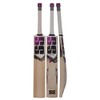 SS Gladiator Kashmir Willow Leather Ball Cricket Bat, Exclusive Cricket