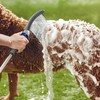 Waterpik PPR-252UK Pet Wand PRO Dog Shower Attachment for Indoor-Outdoor