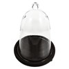 EXCEART Cloche Bell Dome Clear Glass Dome Cloche with Rustic