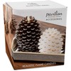 Pavilion Gift Company Brown 5 Inch Pinecone LED-Lit Battery Operated