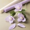 Spring Flowers Bouquet | Crepe Paper Flower Making Craft Kit