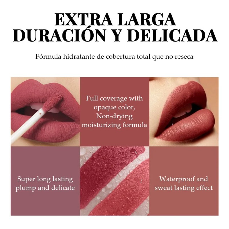 Set De 6 Labiales Handaiyan Lápiz Labial Color Rojo Mate