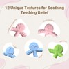 3 Packs Baby Teething Toy for 3-6 6-12 Months -