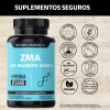 Zinc Magnesio Acerola (zma) Con Piperina (pimienta Negra) Para Mxima
