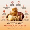 RYZE SUPERFOODS Mushroom Coffee, 30 servings