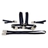 Dreambaby Safety Harness and Reins, Navy