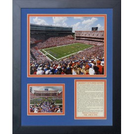 Legends Never Die Florida Gators Ben Hill Griffin Stadium Framed Photo Collage, 11 by 14-Inch