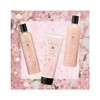 La Casta Japan Aroma Body Soap, Colorful Cherry Blossoms, 11.2