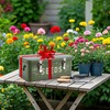 Cinpode Seed Storage Organizer, Seed Saving Box with Lid, Metal