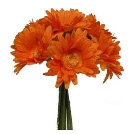 Gerbera Daisy Bouquet 9 Stems 10in Orange