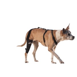 Walkabout Knee Brace (Large right 14-15")