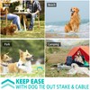 Snagle Paw Dog Tie Out Stake and Run Cable, 20FT