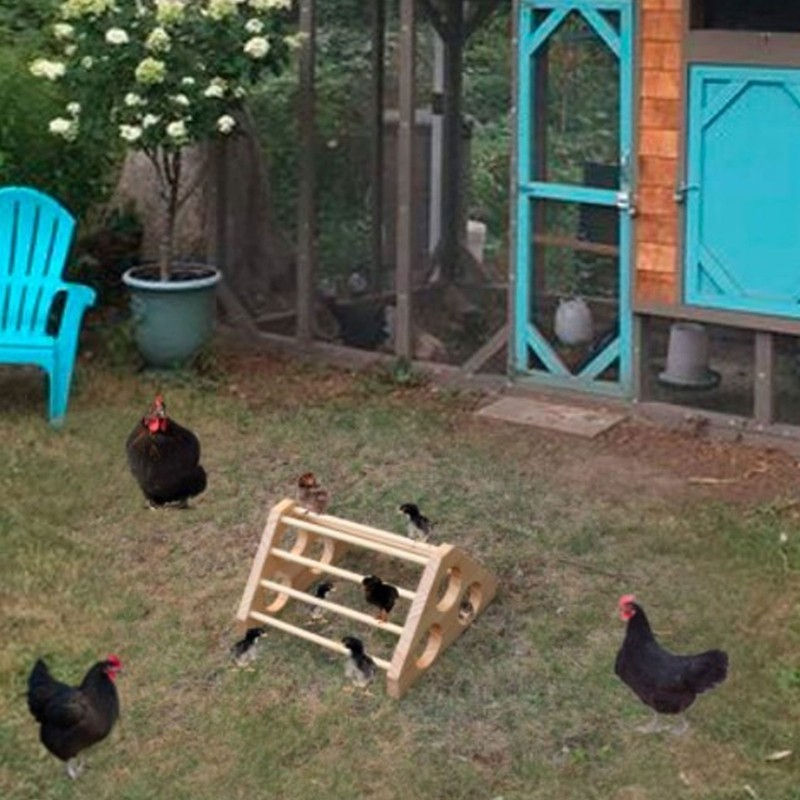 Pet Chicken Wood Stand Hand Made Small Chicken Roost Rack