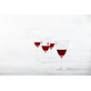Schott Zwiesel Era Crystal Glass, 16 Oz. Red Wine (Set