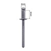 (Pack of 100) Stainless Steel Blind Rivets 4.0 x 6