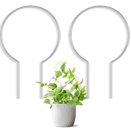JETTIFY 2 Pack Round Plant Trellis for Potted Plants Indoor Outdoor, Acrylic Small Trellis for Climbing Plants, Plant Support for Hoya Pothos Vine Ivy Monstera Flower Philodendrons Dischidia