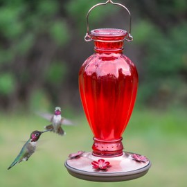 Perky Pet 8133-2 Daisy Vase Vintage Glass Hummingbird Feeder