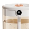 2L Double Nozzle Air Humidifier USB Double Jet Humidifier with