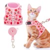 BINGPET Cat Harness with Leash Escape Proof - Fashionable Mesh