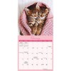 Carousel Calendars, Naptime 2025 Mini Wall Calendar
