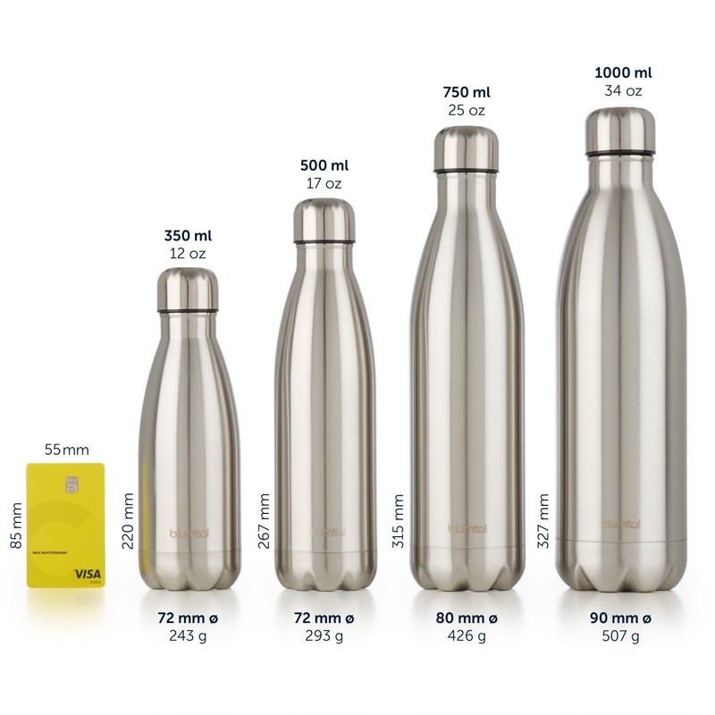 Blumtal Charles Thermos Flask, Leak-proof Stainless Steel, BPA-Free, Hours of